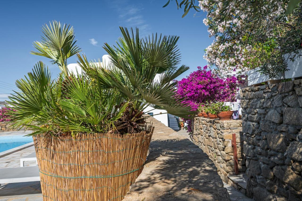 Mykonos Town Casa Cozyヴィラ エクステリア 写真