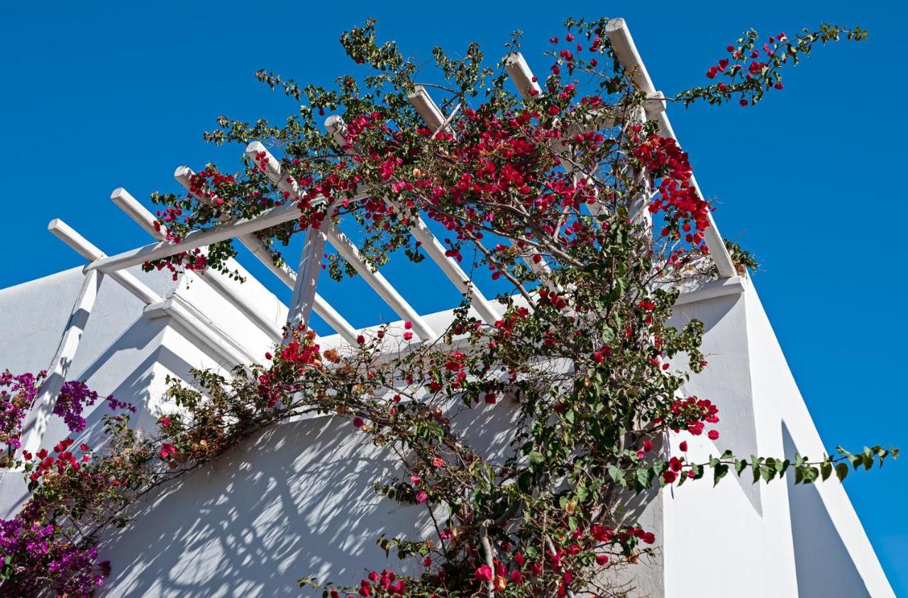 Mykonos Town Casa Cozyヴィラ エクステリア 写真